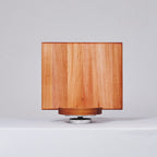 Tablas para Picar/Servir Delgadas Trabajo Liviano (28cm x 22cm x 2 cm)